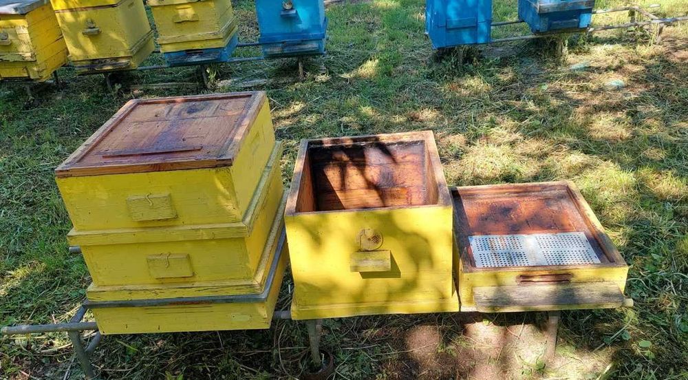 Добре запазени пчелни сандъци с ПРАШЕЦОУЛОВИТЕЛИ