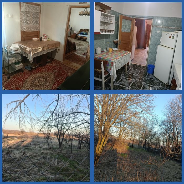 OCAZIE doar de PASTE : Casa +3000mp teren, Drag