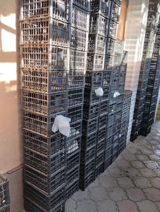 Продам ящики пластиковые