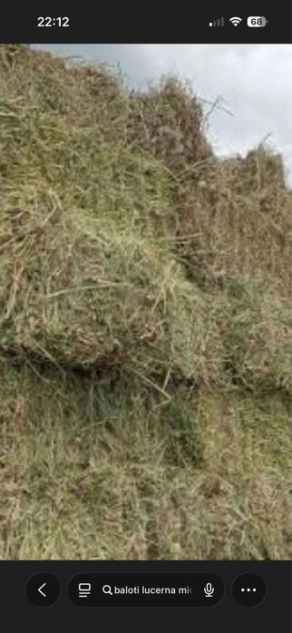 Vand baloti lucernă