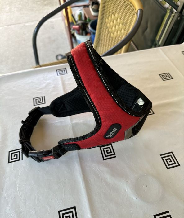 Ham catel 2 luni - 6 luni