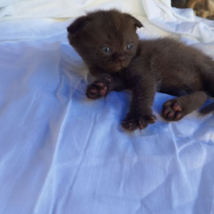 Сотилади срочна арзон нархларда‼️