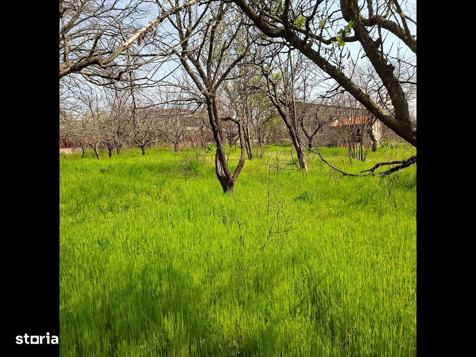 Teren Centura de Nord