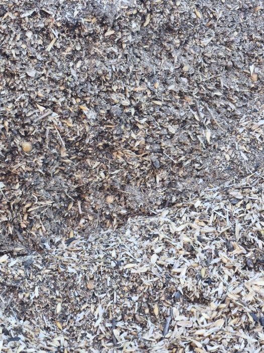 Продам отходы зерноотходы зерносмесь