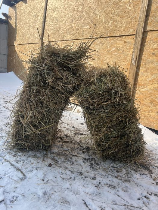 Baloti de Lucerna cu Fan