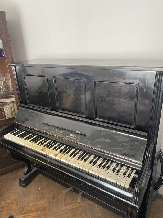 Vand pianina •Wessely in Wien.