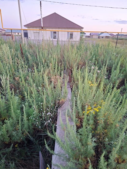 Продам землю 6 соток. Талапкер