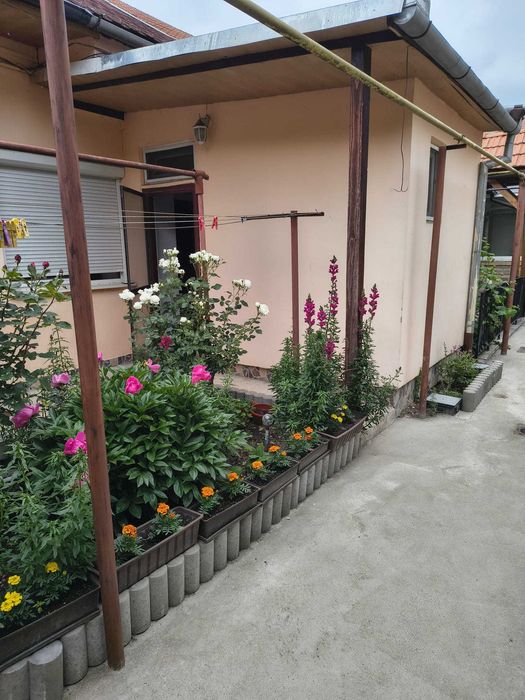 Inchiriez apartament la curte cu Dormitor+CameraZi ULTRACENTRAL