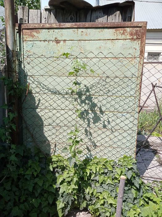 Ворота металлические