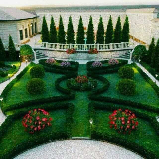 Туркия газони (çim) уй ва квартирлар учун. Биринчи кол. Доставка