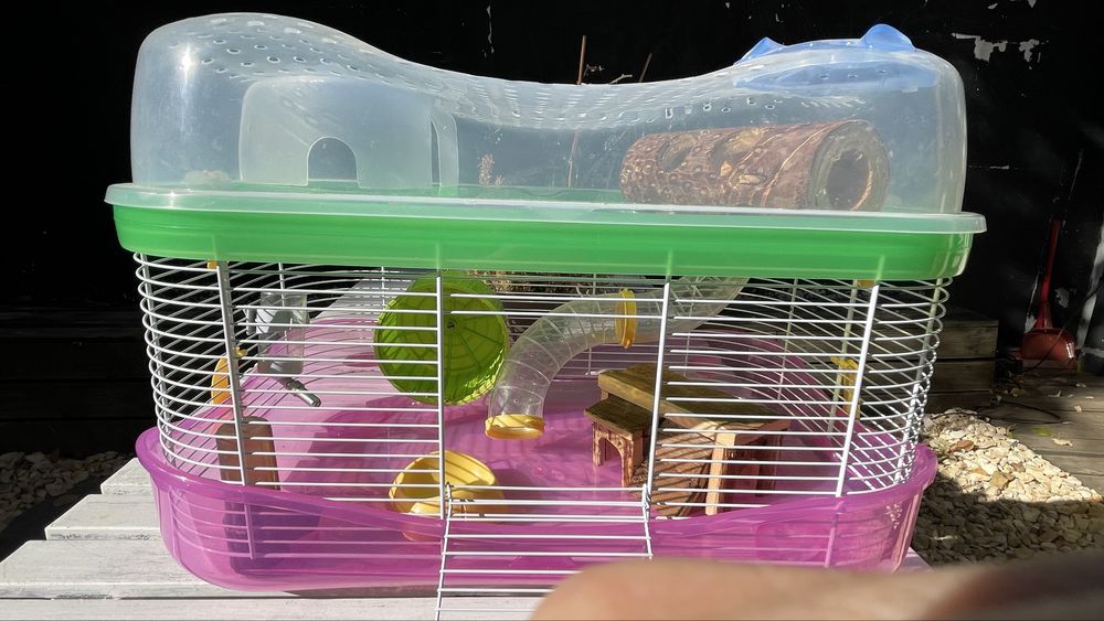 Cuşcǎ hamster cu 2 etaje