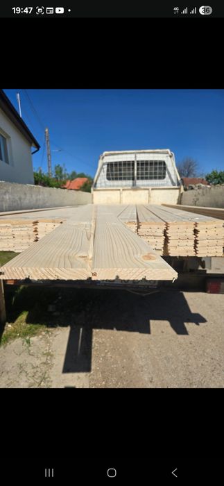 Lambriu rășinoase Alba