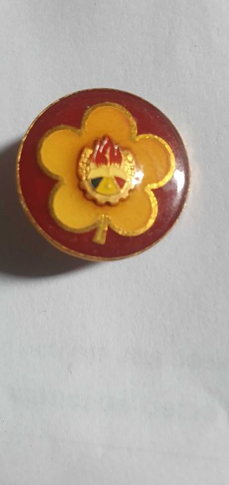 Insigna comandant instructor, patrula scolara, pionier