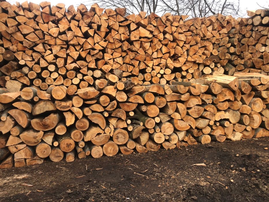 Lemne de foc fag,(POZE REALE)