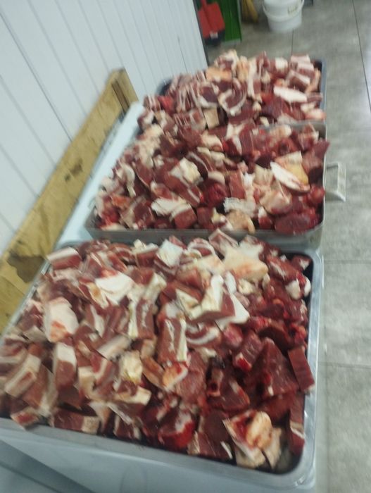 Мясо конина говядина баранина халяль