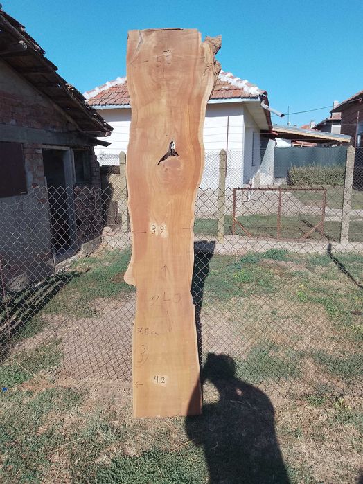 Сух ян от черница