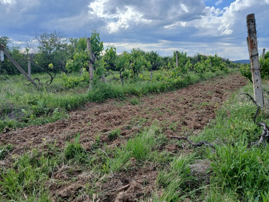 Продава се Земеделски имот в с. Карабунар, Област Пазарджик -  кв.м за 2 €/дка - Снимка #12