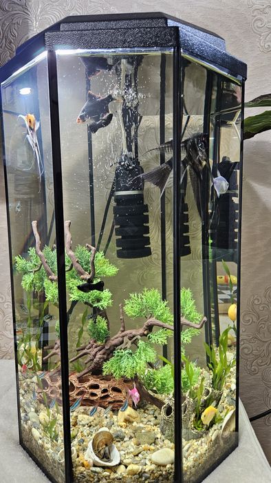 Продам аквариум колба