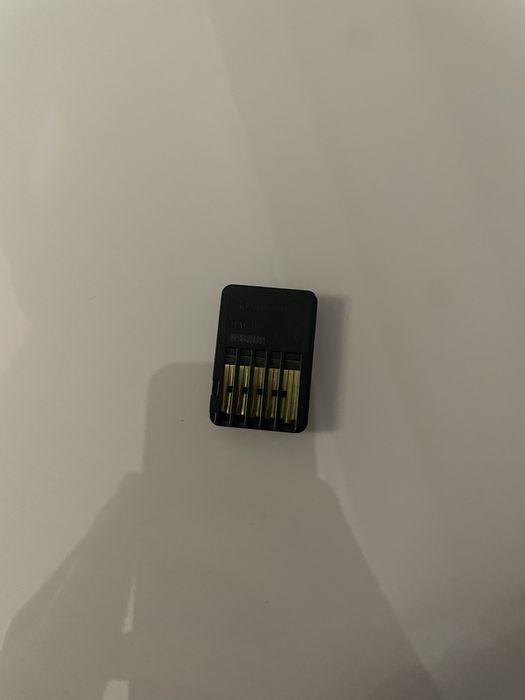 Stray Nintendo Switch