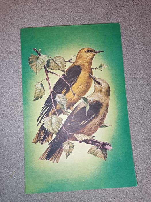 Набор блокнотов СССР, чистые, новые