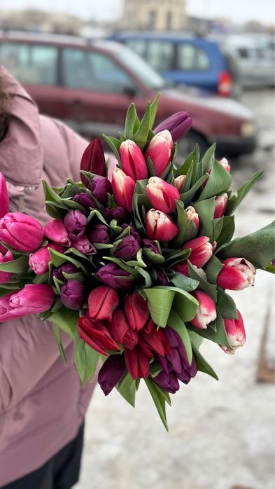 Тюльпаны Шахтинск