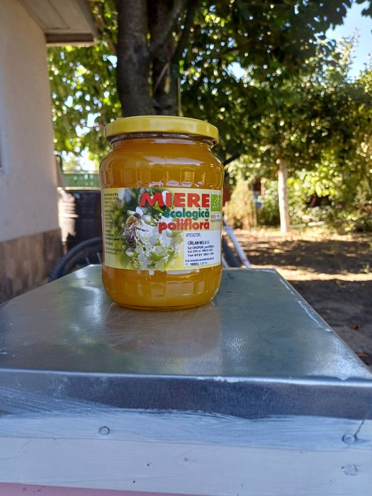Miere de albine poliflora