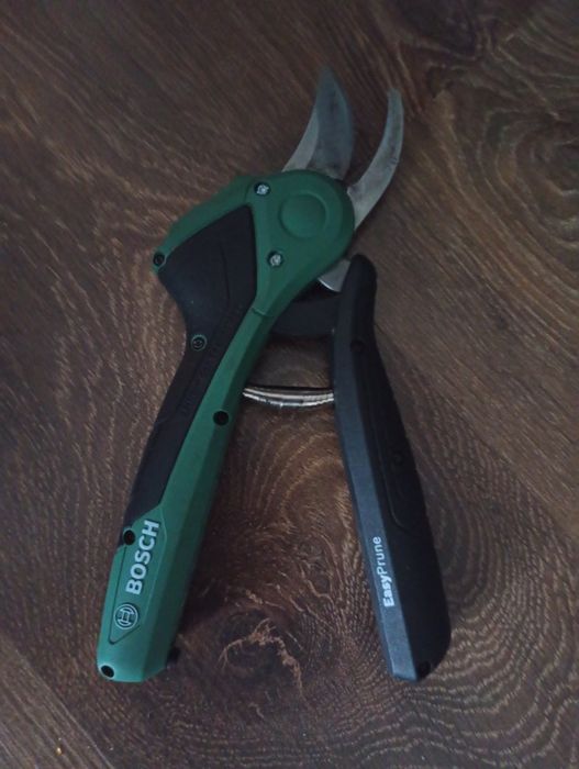 Taieri pomi  fructiferi -curti,gradini