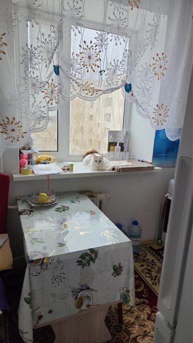 Сдам койко место