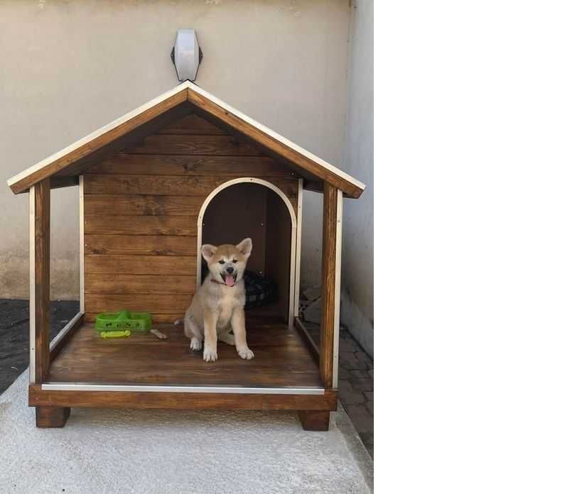Кучешка къща,кучешка колиба