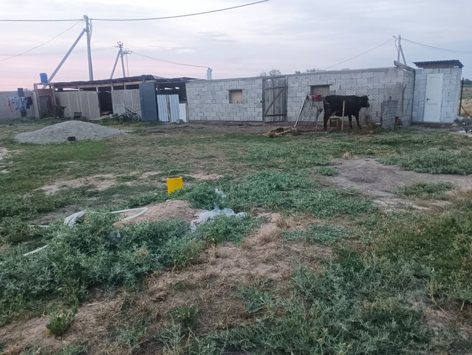 Срочно продам дом город Алатау