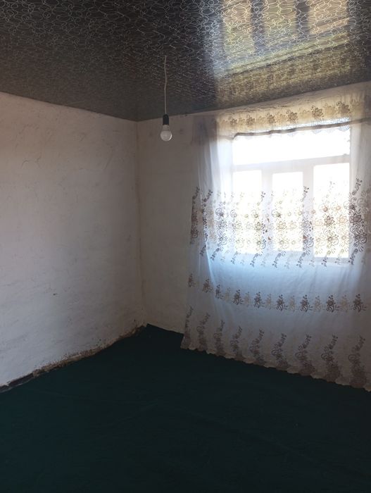 Дача Сатылады. Жузим баг