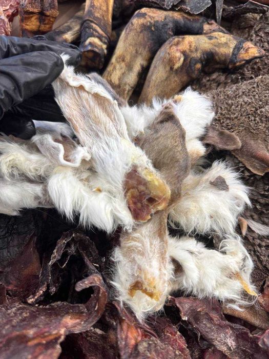 Набор лакомств для собак