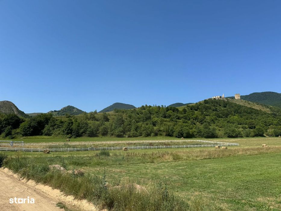 Teren 9000mp+platforma betonata 630mp,Rimetea| Oportunitate dezvoltare