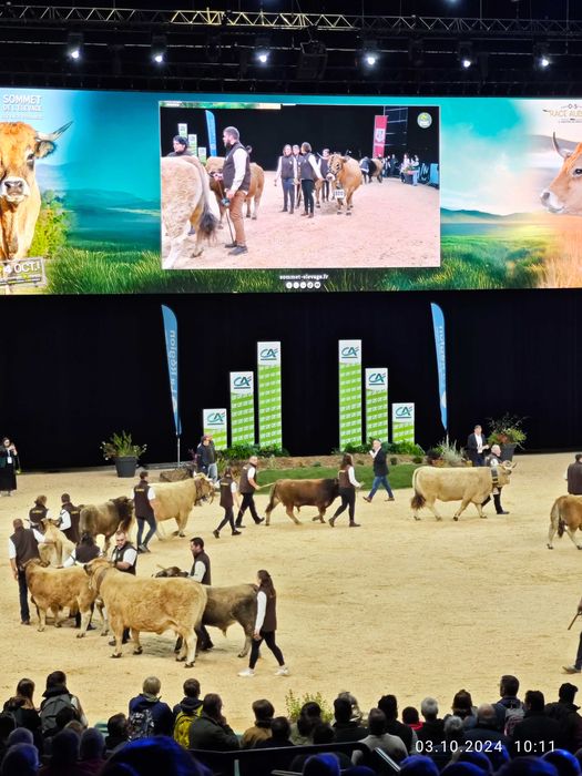 Спортивные туры в Испанию, визовая поддержка