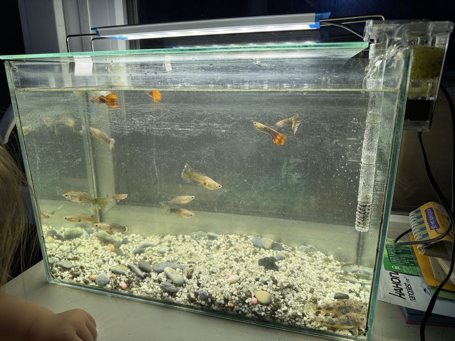 Аквариум 15 литров