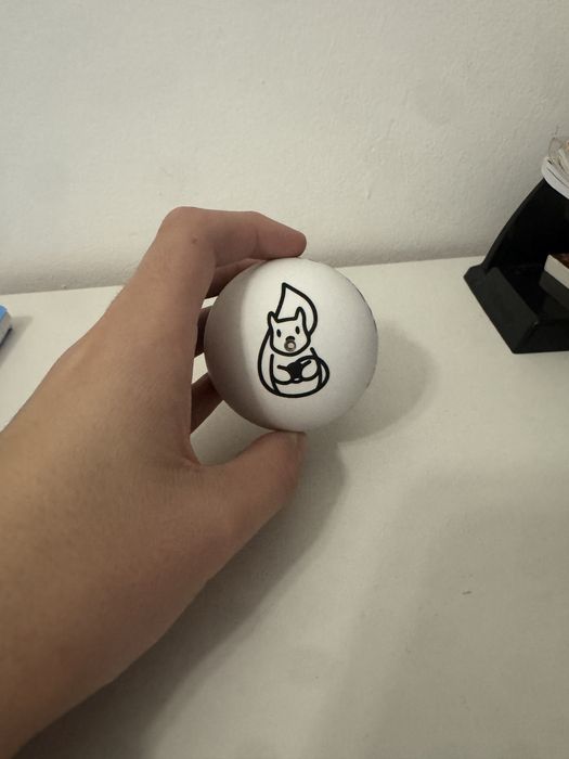 Miguel tama erratic squirrel