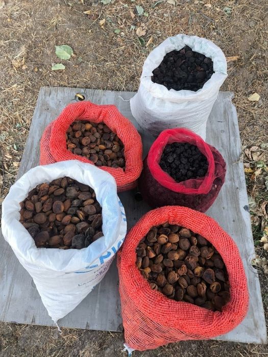 Сухофрукты курага, яблоко