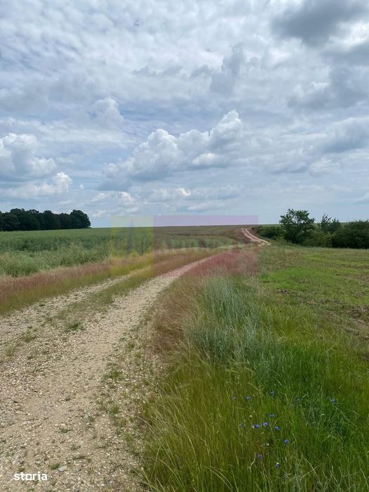 6,26 ha lângă DEx12 Pitești | 2,95 €/mp | acces DJ Pitești–Craiova