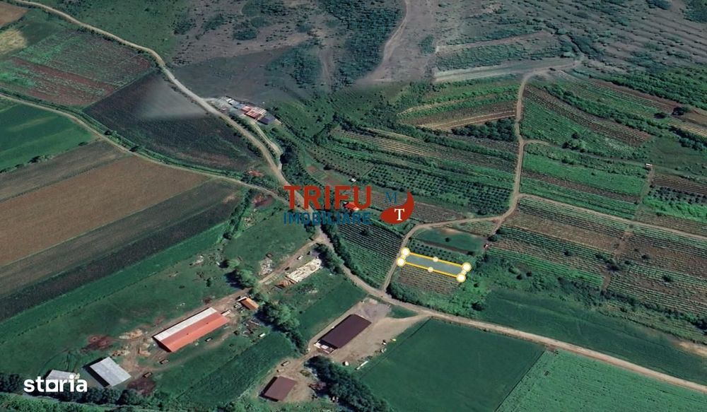 Teren extravilan 600 mp în Șard – perfect pentru proiecte viitoare