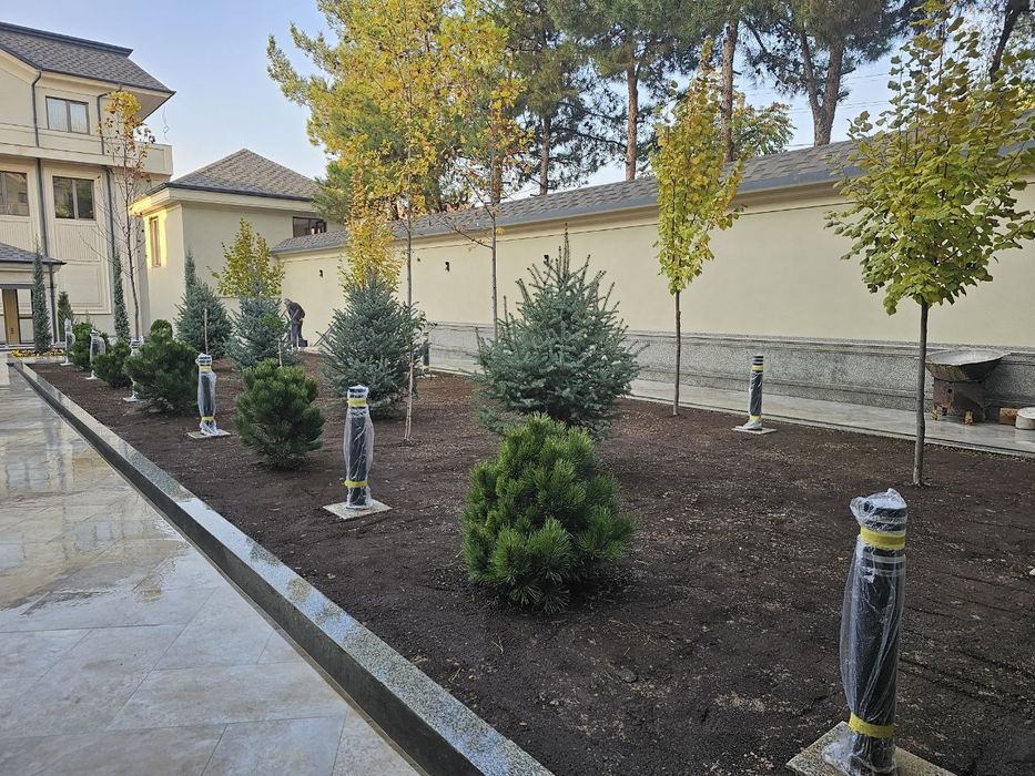 Ландшафтная компания ENTER GREEN LIFE