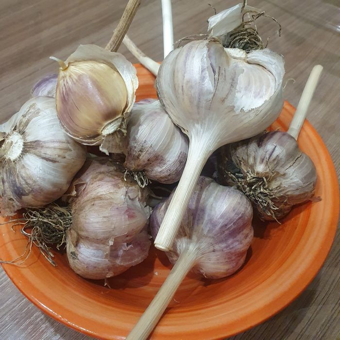 Подам крупный чеснок