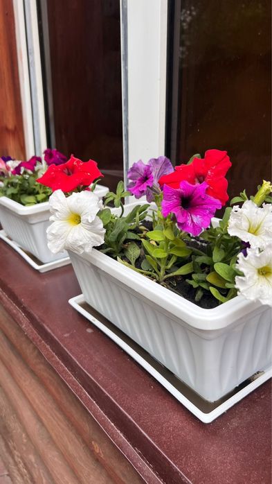 Сдам домик в аренду