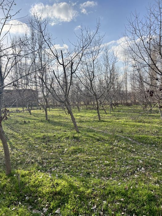 Yangi ozbekiston, yangi toshkent 12 sotok uchastka sotiladi