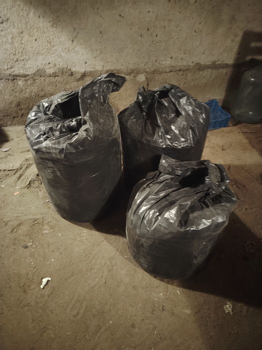 Продам опилки сосновые