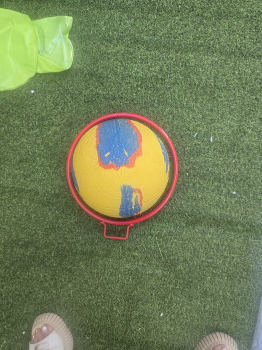 Баскетболен кош / кошове