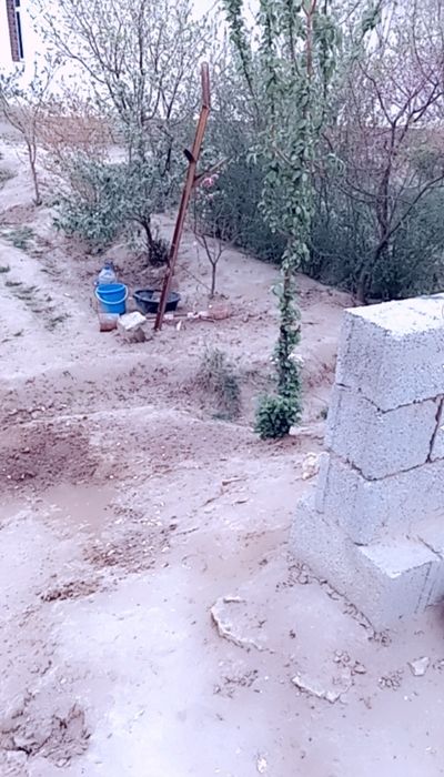 Уй сотилади термиз туман