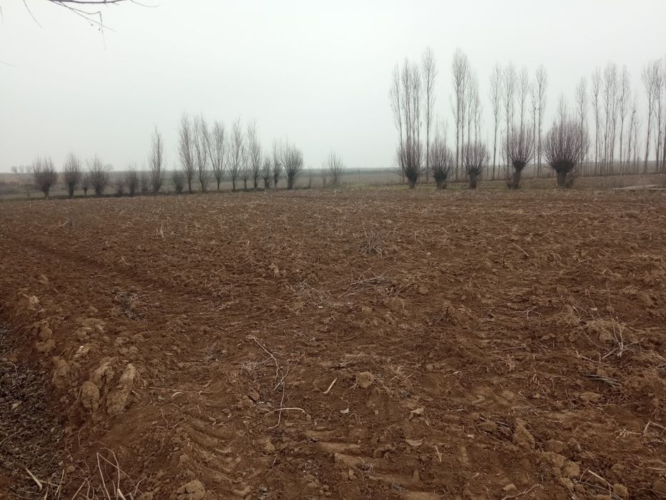 Bu uchastka sotiladi