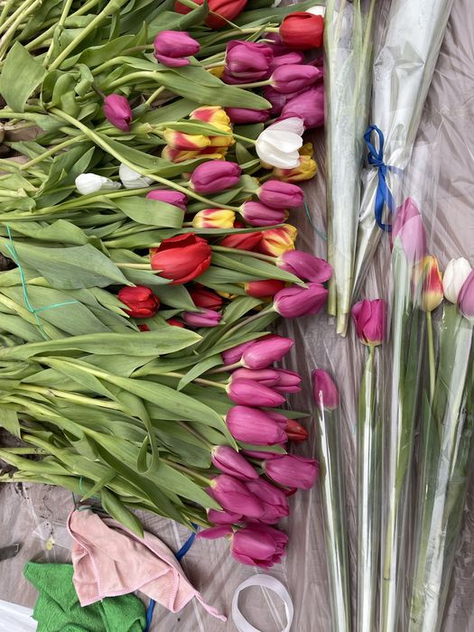 Тюльпаны в розницу