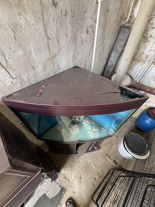 Akvarium sotladi hama narsasi bor kamplekt