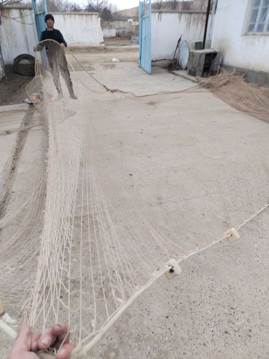 Lotka, suv mator, Liviviotka, Suzma tor